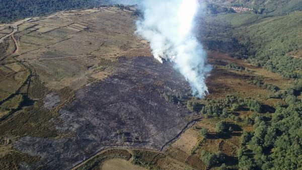 Incendio forestal Incendio forestal