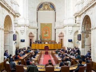 Constitución del nuevo Parlamento andaluz