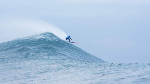 Vaca Gigante. Ola. Surf. Surfero. Vaca Gigante. Ola. Surf. Surfero.