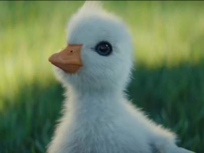 Patito protagonista anuncio 'Disneyland Paris'