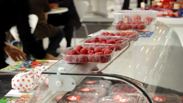 Frutos Rojos De Huelva En Fruil Logística. Frutos Rojos De Huelva En Fruil Logística.