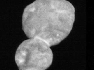 Ultima Thule se asemeja a un muñeco de nieve en las nuevas imágenes de la NASA