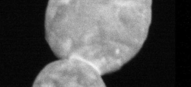Ultima Thule se asemeja a un muñeco de nieve en las nuevas imágenes de la NASA