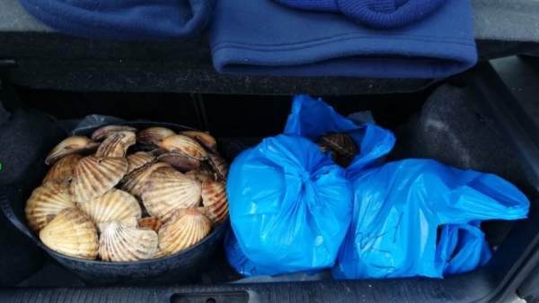 Tres detenidos en un operativo contra el furtivismo en la zona de Ferrol. Tres detenidos en un operativo contra el furtivismo en la zona de Ferrol.