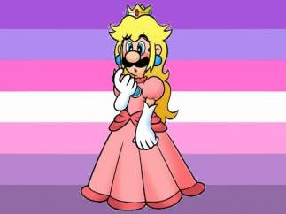 Luigi de Mario Bros