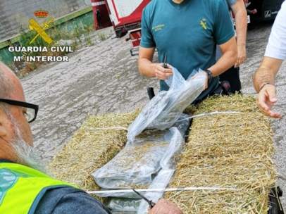 Intervienen en Cataluña 2.700 kilos de marihuana y detienen a 25 personas.