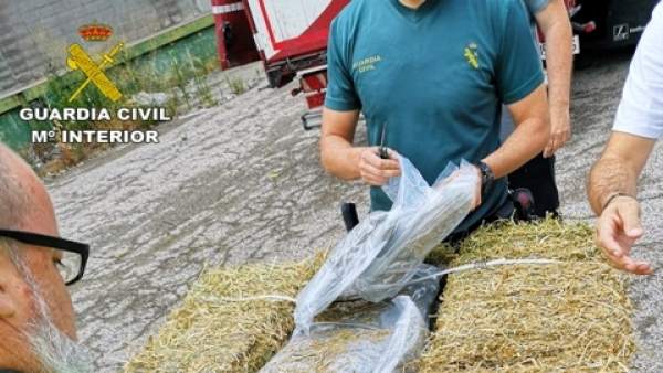 Intervienen en Cataluña 2.700 kilos de marihuana y detienen a 25 personas. Intervienen en Cataluña 2.700 kilos de marihuana y detienen a 25 personas.