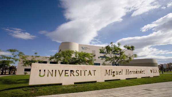 Universidad Miguel Hernández de Elche (UMH) Universidad Miguel Hernández de Elche (UMH)