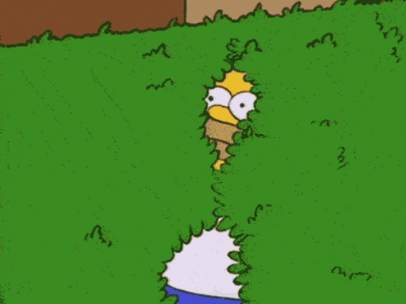 Los Simpson