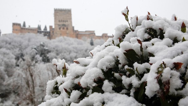 Nieve en Granada Nieve en Granada