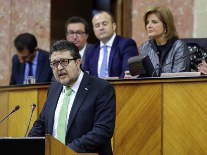Serrano interviene en el Parlamento