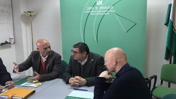 Salas moreno ferrer renión invernaderos axarquía Salas moreno ferrer renión invernaderos axarquía