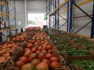 Parte de los productos repartidos por bancos de alimentos.