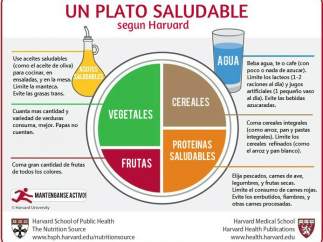 Plato Harvard