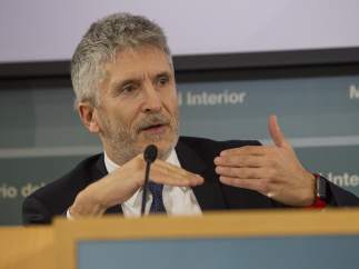 Fernando Grande-Marlaska