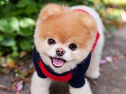 Boo