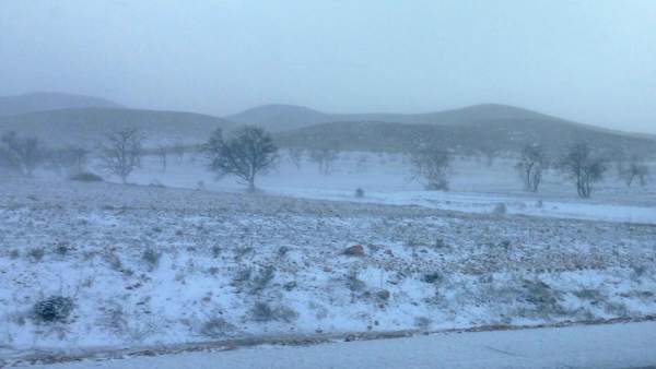 Nieve Nieve