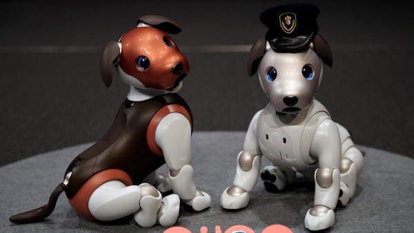 Aibo Aibo