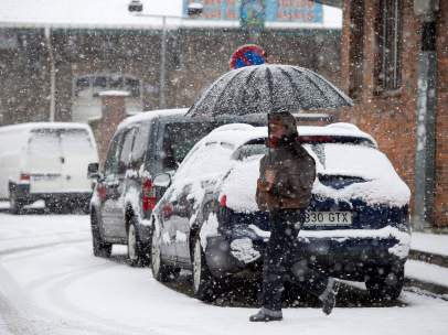 Temporal de nieve
