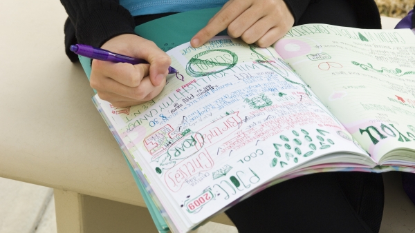 Estudiante Estudiante