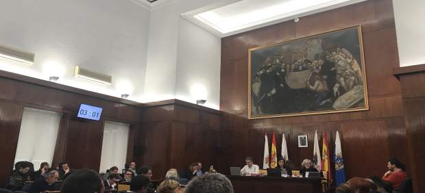 Pleno del Ayuntamiento de Santander del mes de enero de 2019