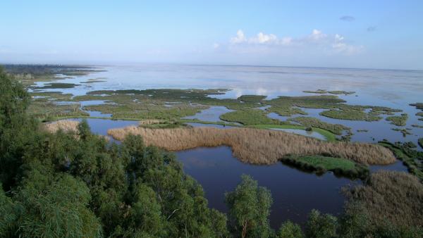 Marismas del Parque Nacional de Doñana Marismas del Parque Nacional de Doñana