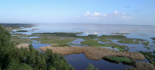 Marismas del Parque Nacional de Doñana