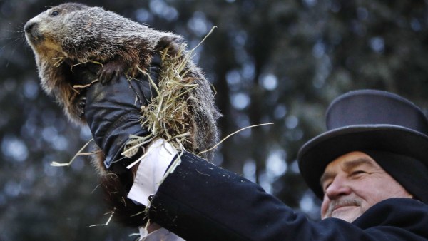 Marmota Phil Marmota Phil