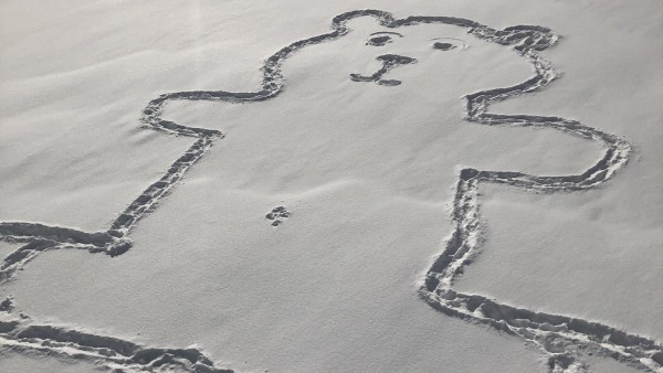 Oso dibujado en la nieve Oso dibujado en la nieve
