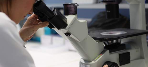 Investigación Cáncer