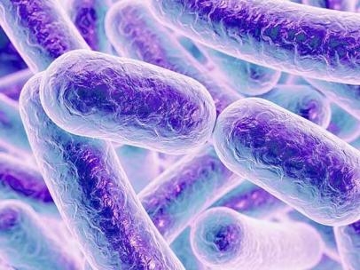 Microbiota