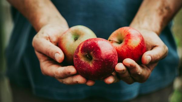 Manzanas Manzanas