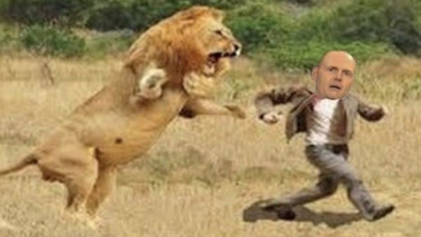 Ataque del puma Ataque del puma