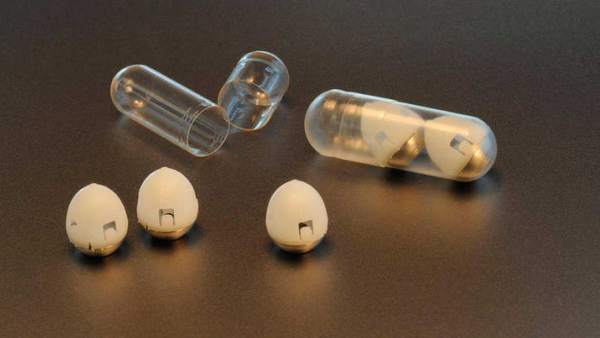 Prototipos de píldoras de insulina compuestas por cápsulas biodegradables. Prototipos de píldoras de insulina compuestas por cápsulas biodegradables.