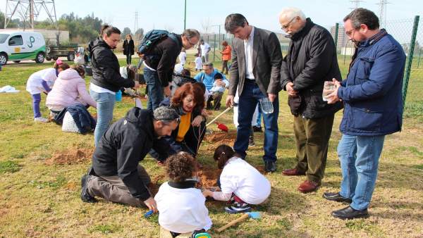 Ayuntamiento realiza una plantación participativa en Parque Guadaíra Ayuntamiento realiza una plantación participativa en Parque Guadaíra