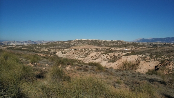 Zona en que se proyecta una macrogranja de cría de cerdos Zona en que se proyecta una macrogranja de cría de cerdos