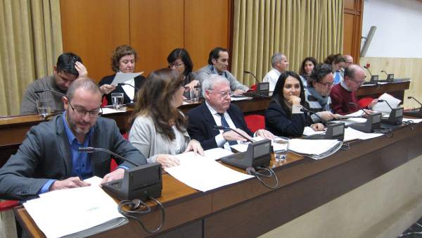 Bancada del gobierno municipal y Ganemos Bancada del gobierno municipal y Ganemos