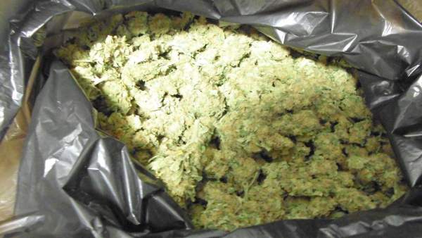 Bolsa con más de un kilo de marihuana hallada en un coche en Figueres Bolsa con más de un kilo de marihuana hallada en un coche en Figueres