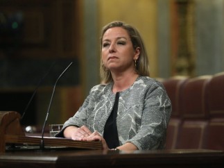 La diputada de Coalición Canarias, Ana OramaS