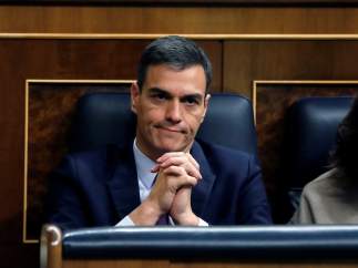 Pedro Sánchez, en el Congreso de los Diputados