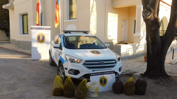 La Policía Autonómica se inauta de 75 kilos de caracoles La Policía Autonómica se inauta de 75 kilos de caracoles