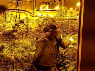 Agente de Mossos en una operación con Policía Nacional contra tráfico de drogas.