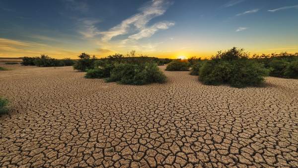 Murcia es una de las zonas con más riesgo de desertificación de Europa Murcia es una de las zonas con más riesgo de desertificación de Europa