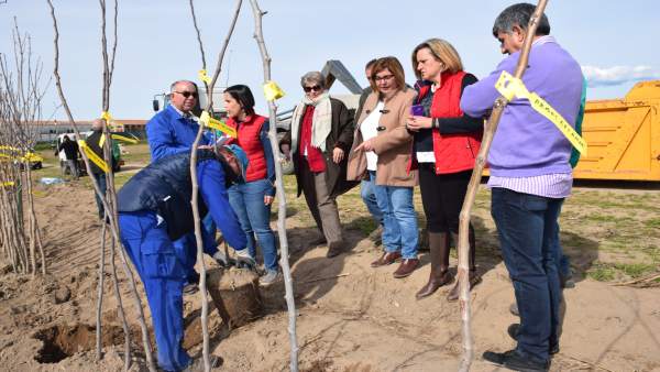 Campaña de arbolado de la Diputación de Cáceres en 2018 Campaña de arbolado de la Diputación de Cáceres en 2018