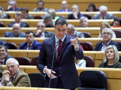 Pedro Sánchez en el Senado.