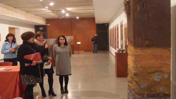 La exposición 'El Suelo. Un paseo por la vida' llega a la Casa de las Ciencias h La exposición 'El Suelo. Un paseo por la vida' llega a la Casa de las Ciencias h