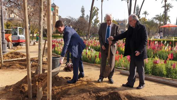 Guevara y Castillo, en el inicio de la plantación en María Luisa Guevara y Castillo, en el inicio de la plantación en María Luisa