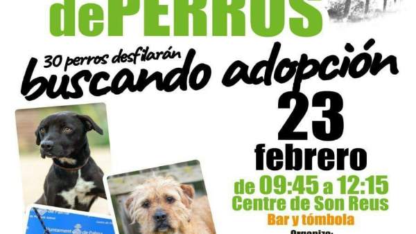 La Asociación Peluditos de Son Reus organiza el octavo desfile de perros en adop La Asociación Peluditos de Son Reus organiza el octavo desfile de perros en adop