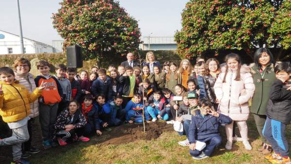 La Casa Rosalía de Castro ya tiene su nuevo retoño del Árbol de Gernika La Casa Rosalía de Castro ya tiene su nuevo retoño del Árbol de Gernika