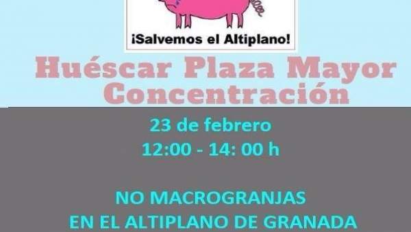 Convocada una concentración contra la instalación de macrogranjas en el Altiplan Convocada una concentración contra la instalación de macrogranjas en el Altiplan